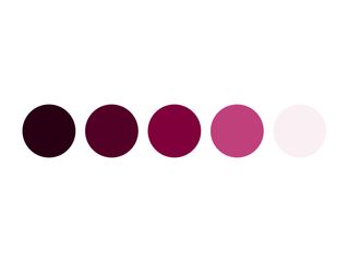 5 maroon circles, their colors ranging from light to dark