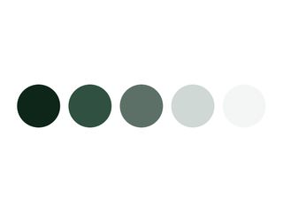 5 green-tinted gray circles